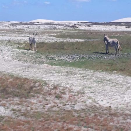 Portadosoljeri Hotell Jijoca de Jericoacoara Exteriör bild