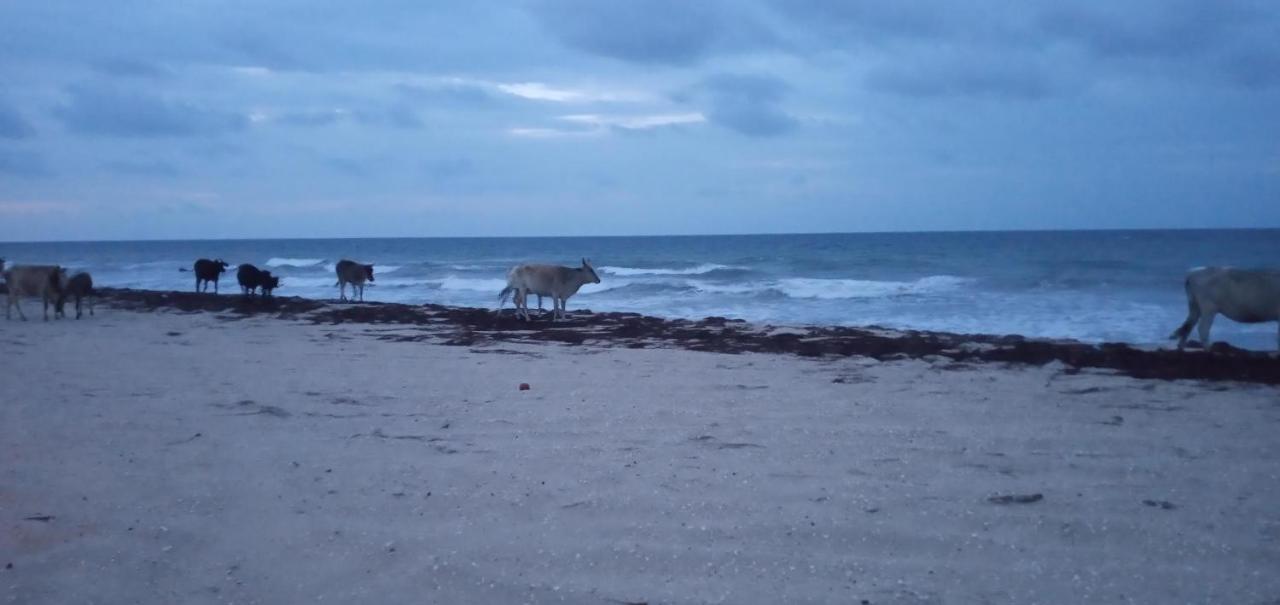 Portadosoljeri Hotell Jijoca de Jericoacoara Exteriör bild