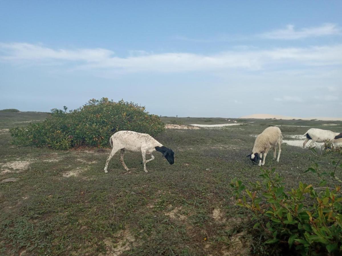 Portadosoljeri Hotell Jijoca de Jericoacoara Exteriör bild
