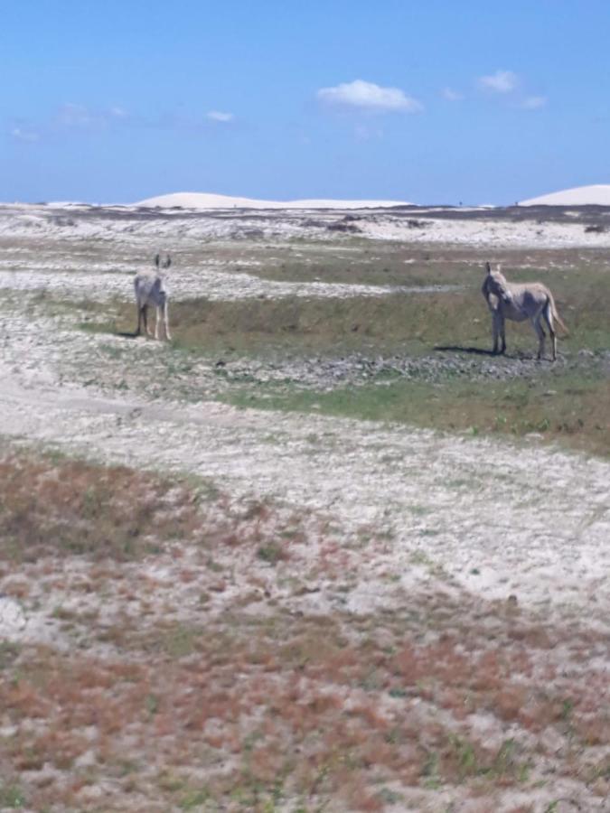 Portadosoljeri Hotell Jijoca de Jericoacoara Exteriör bild