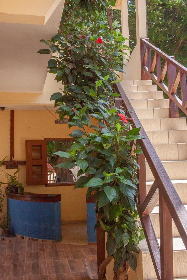 Portadosoljeri Hotell Jijoca de Jericoacoara Exteriör bild